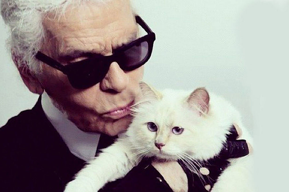 Choupette - Karl Lagerfeld's cat